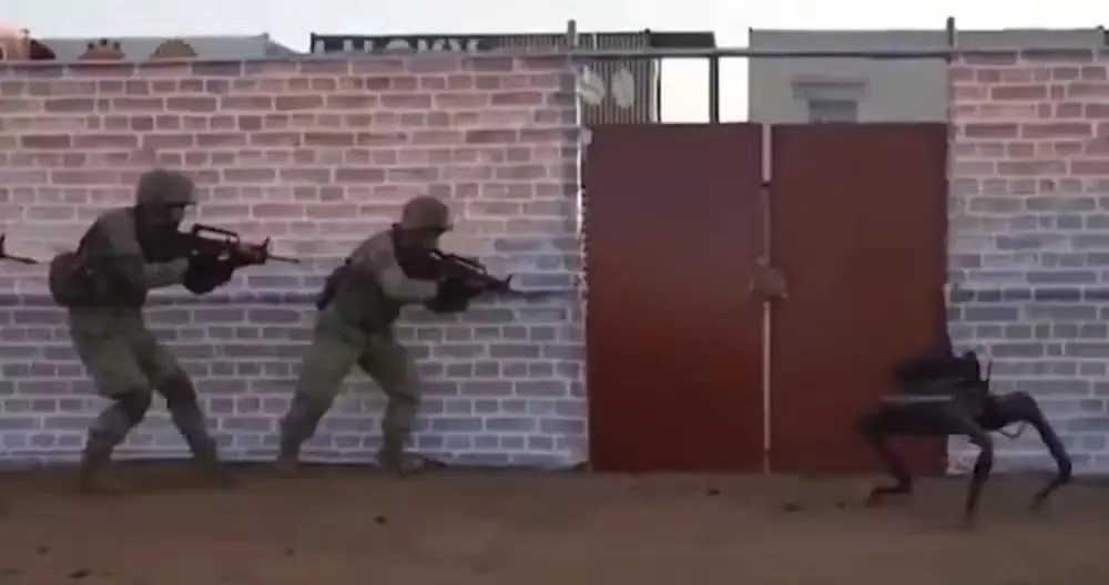 ‘Cães-robôs’ armados com fuzis aparecem em treinamento do Exército; veja vídeo (Foto: Reprodução/Redes sociais)