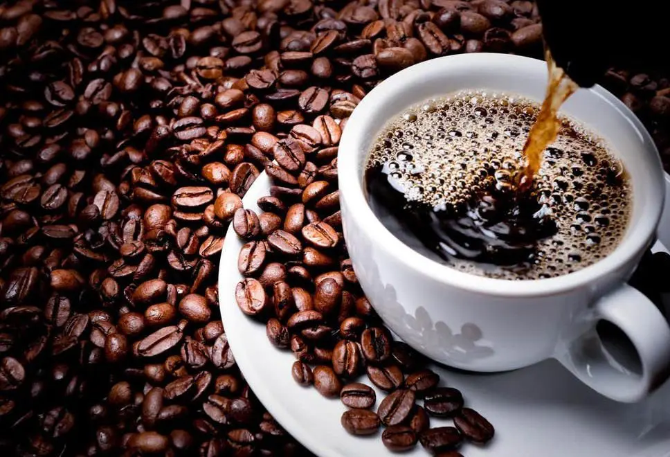‘Piorou para o Brasil’, dizem exportadores de café após redução de tarifas de Trump