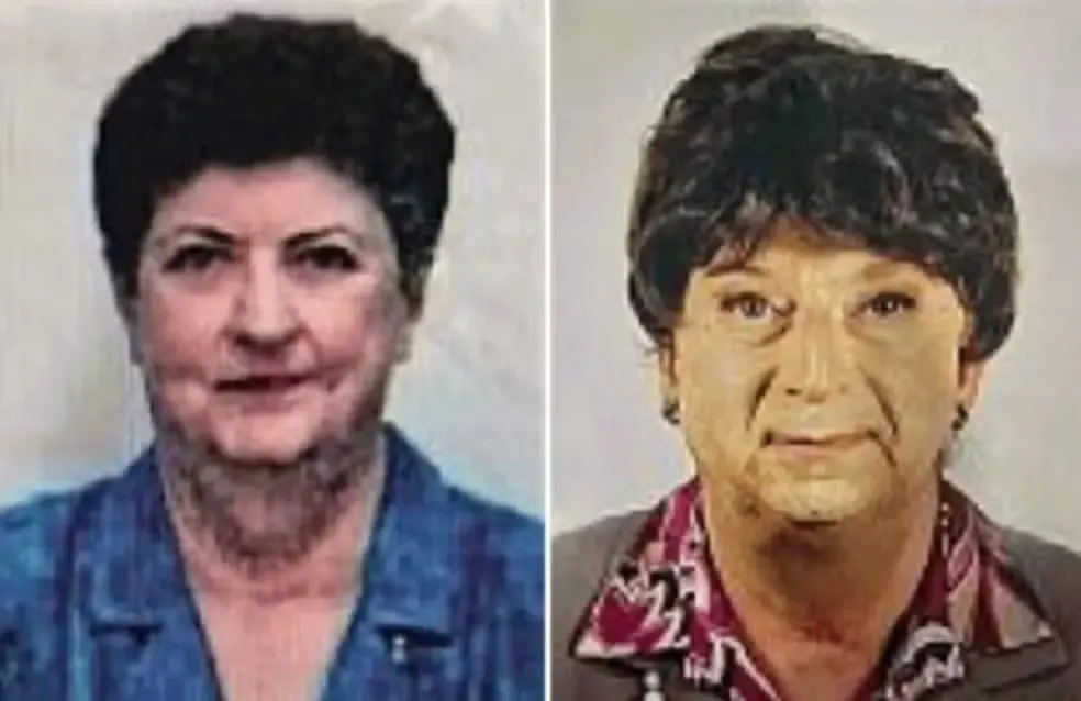 Montagem divulgada nas redes sociais mostra Graziella dall'Oglio e o filho preso ao tentar se passar pela mãe para renovar o documento.