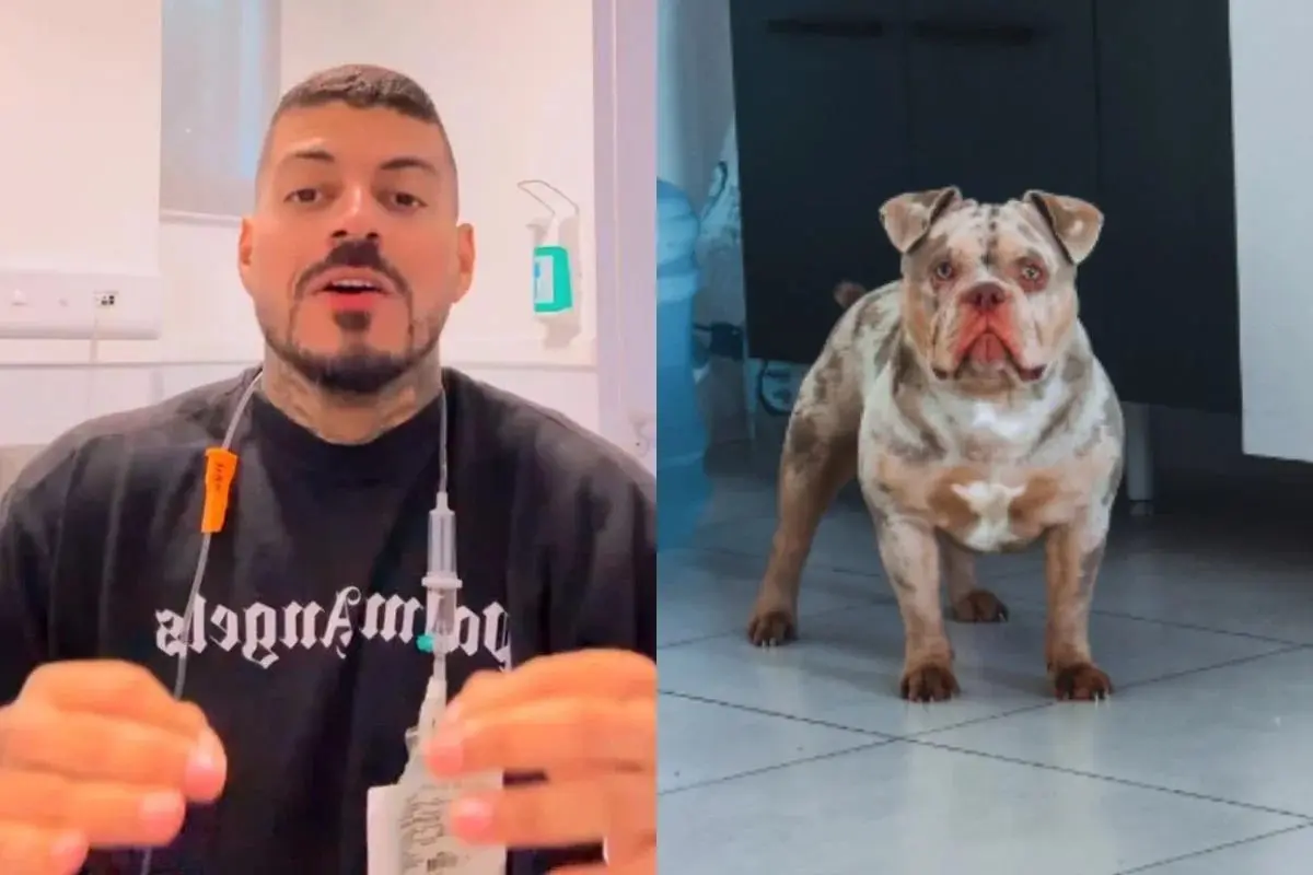 Matheus Vandré teve o dedo do pé comido pelo cachorro, Bradock (Foto: Reprodução)