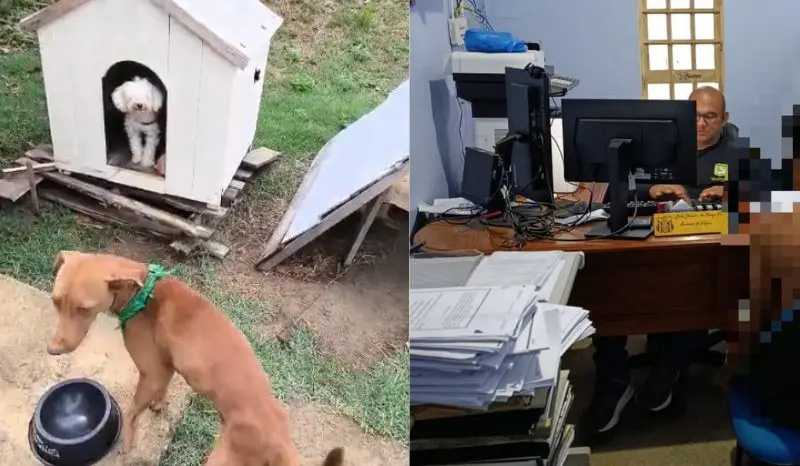 Latidos de cachorros alertaram populares e evitaram crime (Foto: Reprodução)