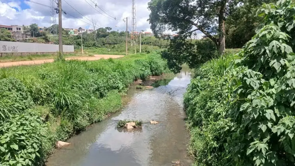 Corpo de idoso foi encontrado em córrego (Foto: TV Mairinque)