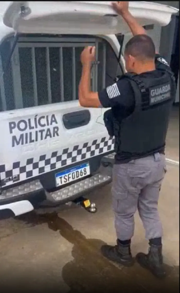 Divulgação