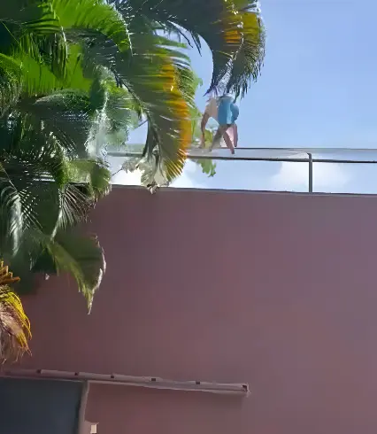 Prefeitura se pronuncia sobre homem morto por leoa em zoológico (Foto: Redes Sociais)
