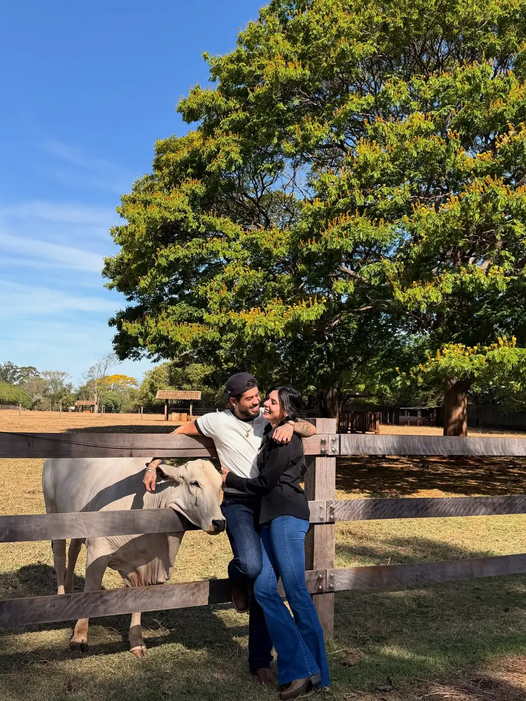 Ana Castela fala pela primeira vez após término com Zé Felipe (Foto: Redes Sociais)