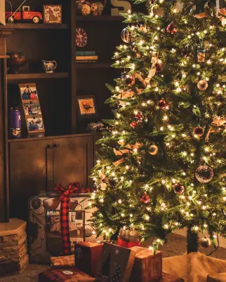 Mãe de cantor sertanejo morre na noite de Natal e notícia comove os fãs