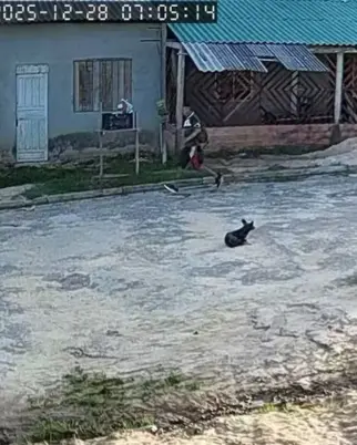 O homem foi flagrado por câmeras de segurança