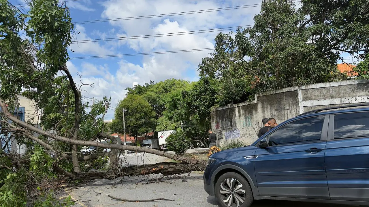 Vendaval recente provocou danos à rede elétrica e reacendeu alerta sobre a preparação das distribuidoras para eventos extremos. Foto: Divulgação / Redes sociais.