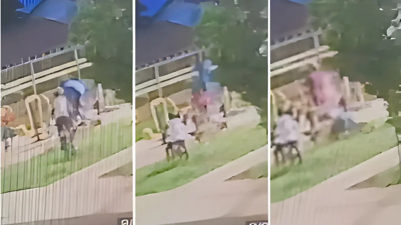 Homem morre após tentar salto mortal em praça; vídeo registra momento do acidente