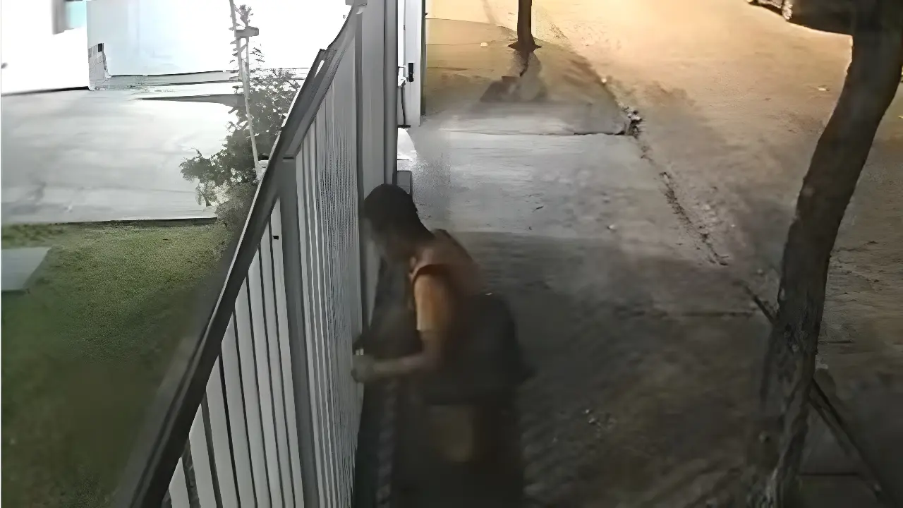 Reprodução