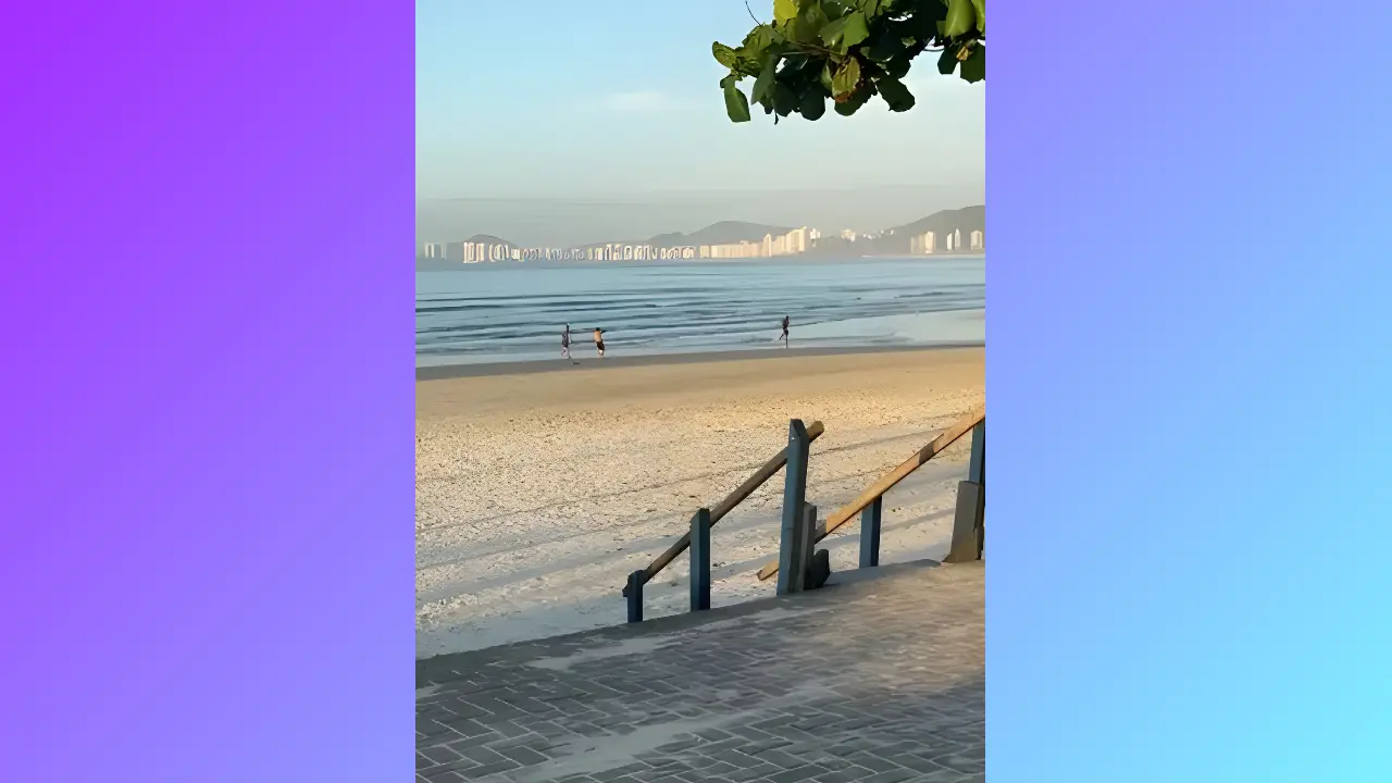 Reprodução