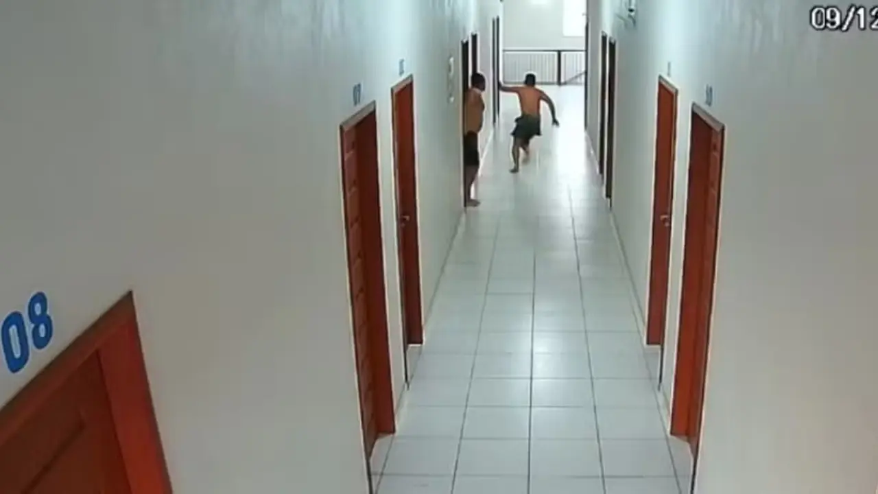 Reprodução