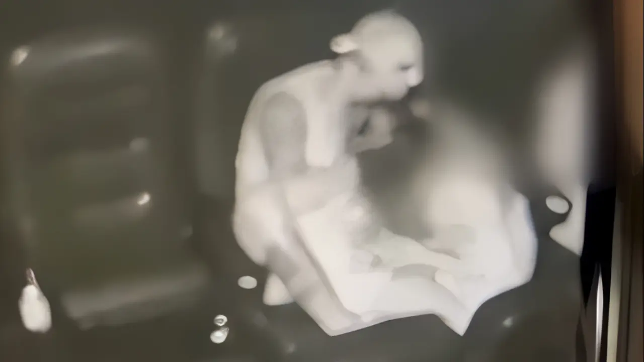 Grávida é agredida e mordida pelo companheiro dentro de cinema; veja vídeo