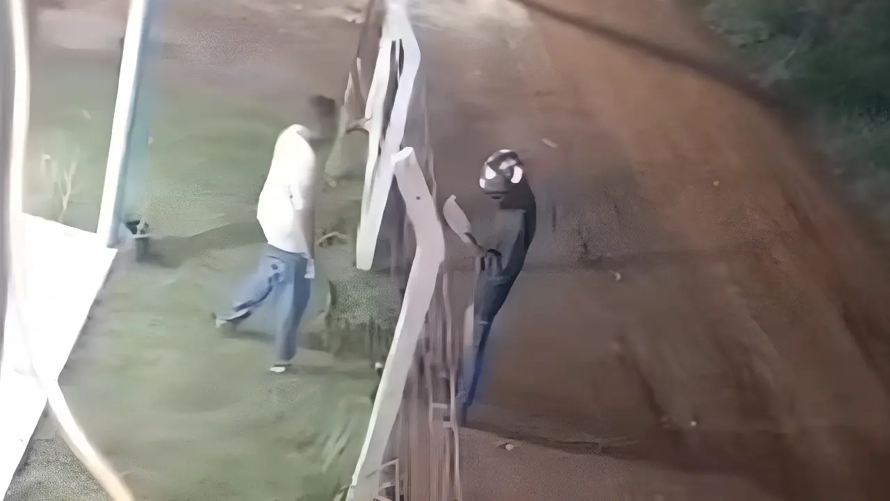 Reprodução