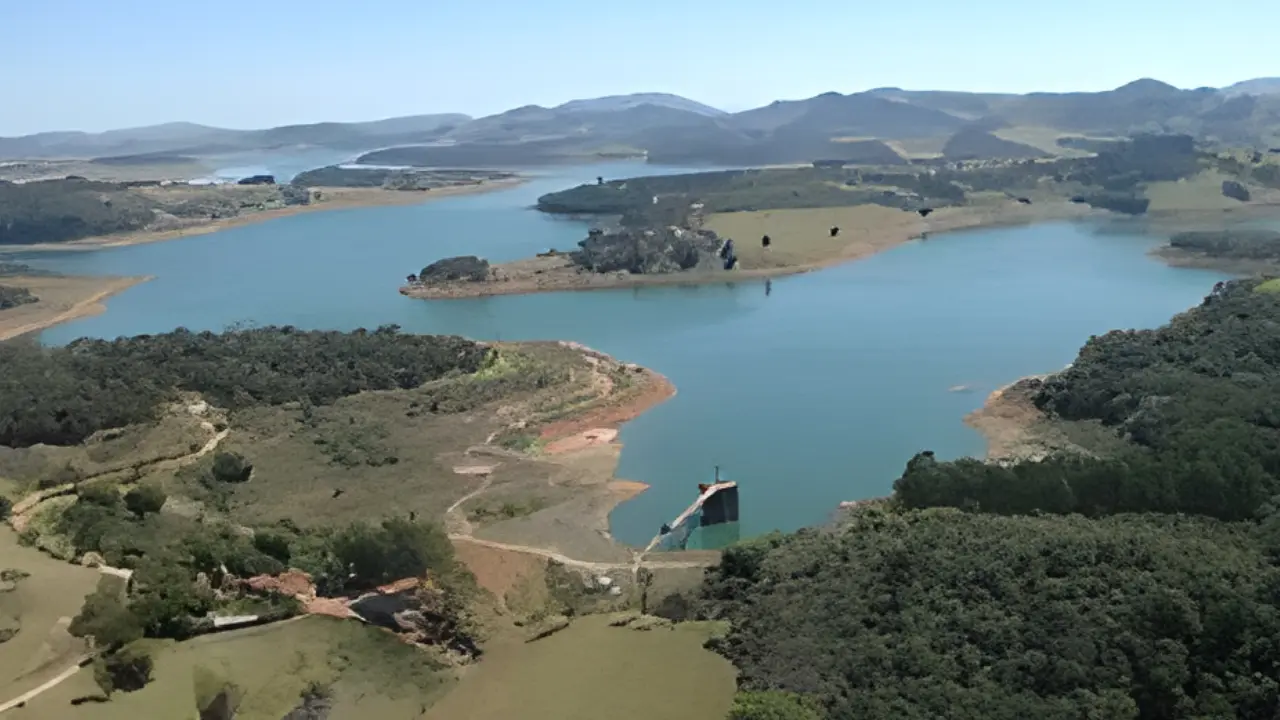 Reprodução / Divulgação