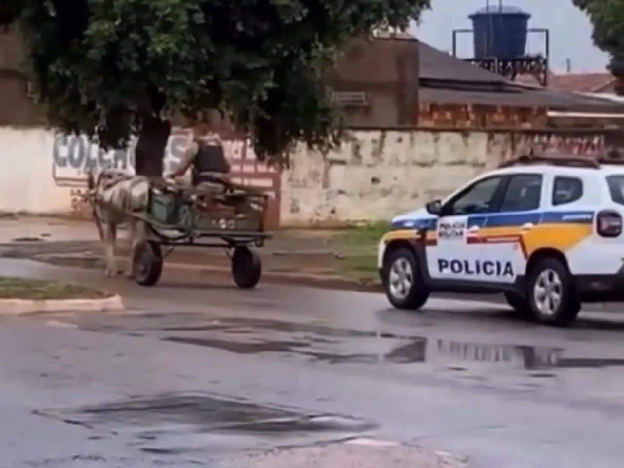 Policial conduz carroça até delegacia em MG || Reprodução: Redes Sociais 