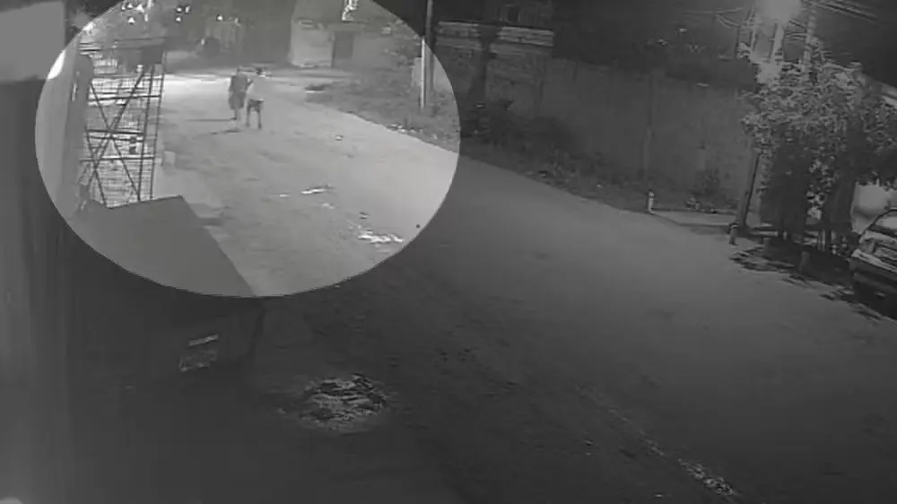 Idoso morre após ser derrubado com chute pelas costas em Pelotas (Foto: Imagens cedidas/ Polícia Civil)