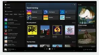 Spotify afirma ter bloqueado contas usadas para copiar ilegalmente músicas e metadados da plataforma.. Foto: Spotify / Reprodução.