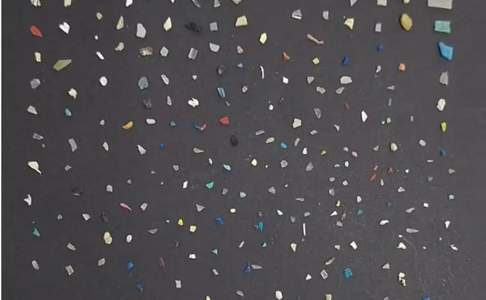 Microplásticos, invisíveis a olho nu, podem atravessar barreiras de proteção e atingir o cérebro, segundo estudo; partículas estão presentes em alimentos, água, roupas e até na poeira doméstica. Foto: Projeto MicroMar.