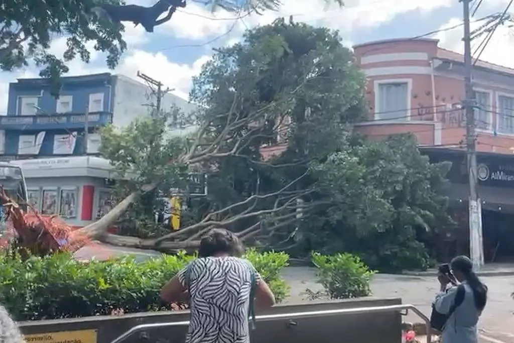 Ciclone extratropical causa ventos de até 82 km/h, quedas de árvores e 738 mil imóveis sem energia em SP