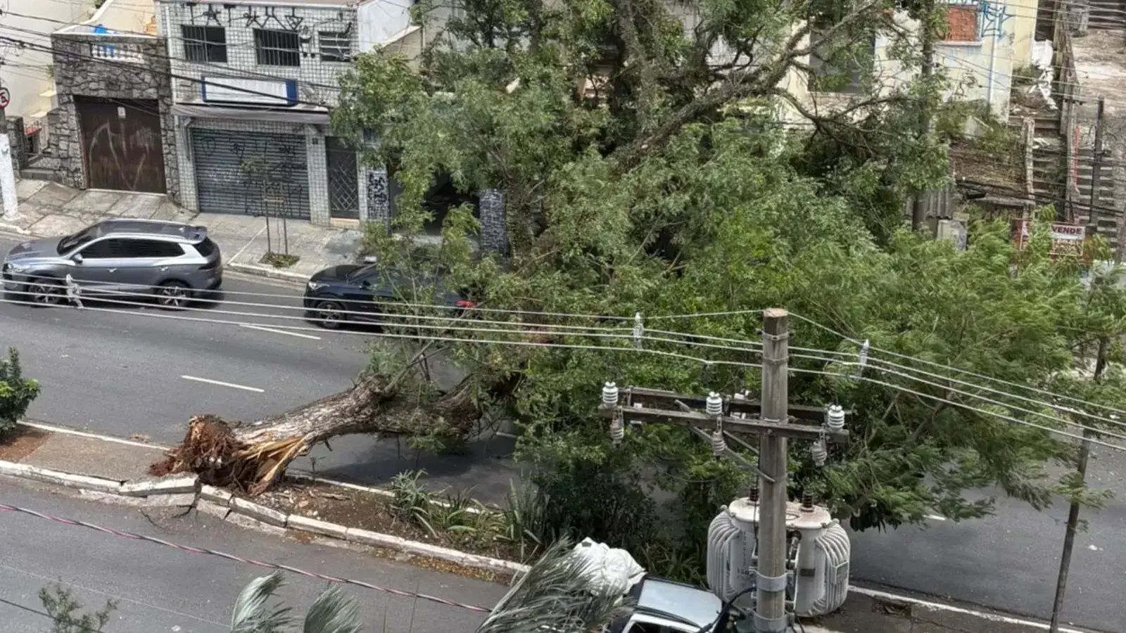 Após ciclone, 1,5 milhão de imóveis ainda estão sem energia em SP