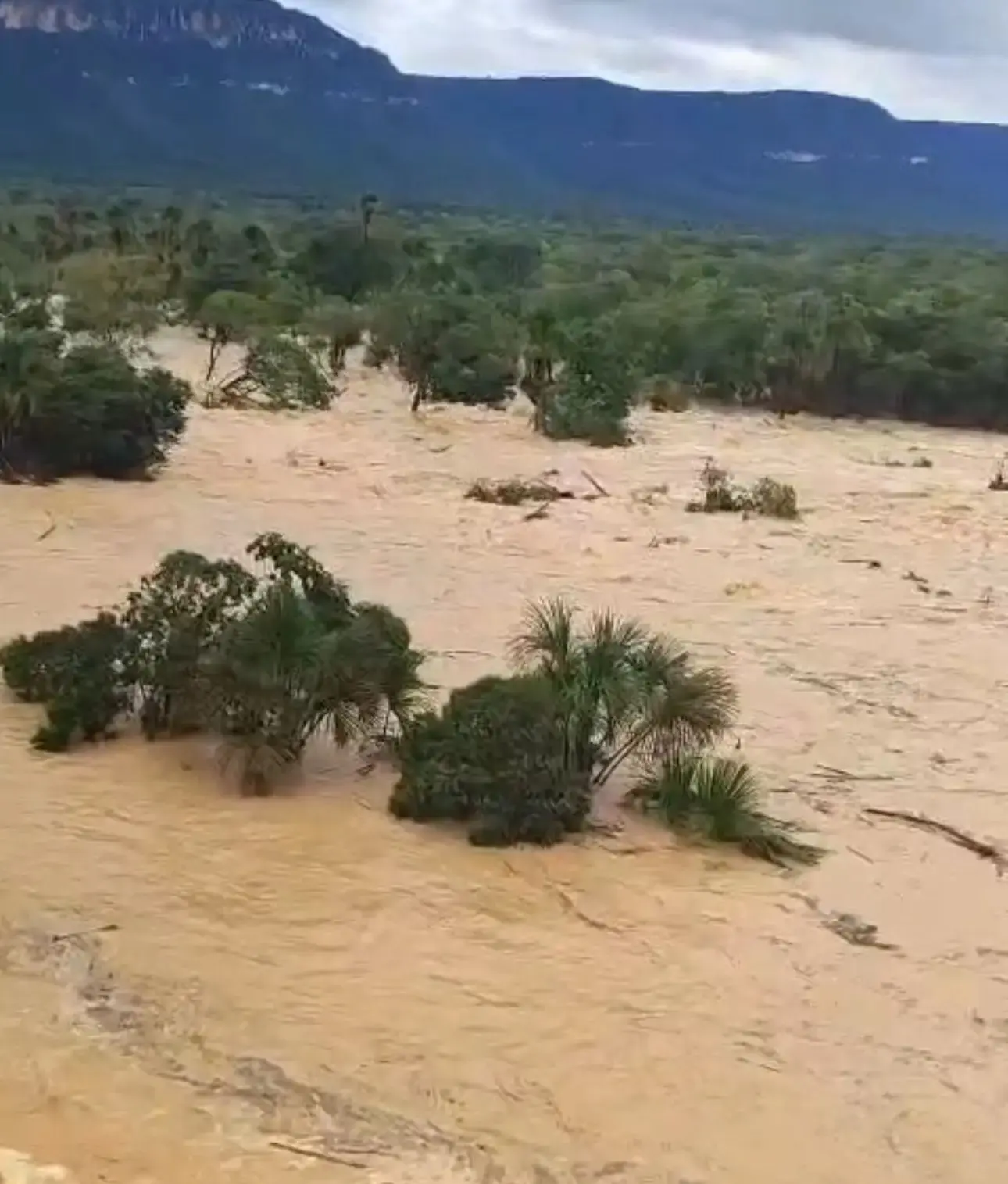 Barragem se rompe no Tocantins e causa estragos (Foto: Reprodução)
