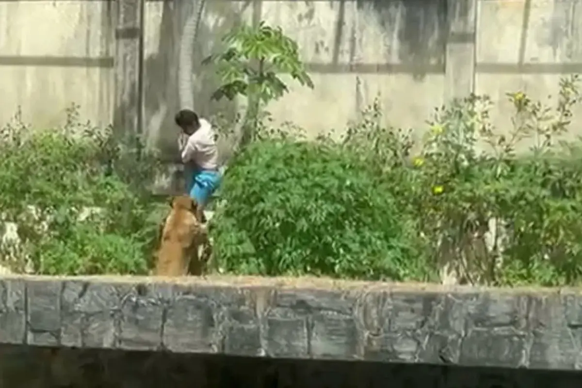 Zoológico Parque Arruda Câmara, em João Pessoa, retoma visitação após ficar fechado desde a morte de um jovem atacado por uma leoa. Foto: Divulgação.