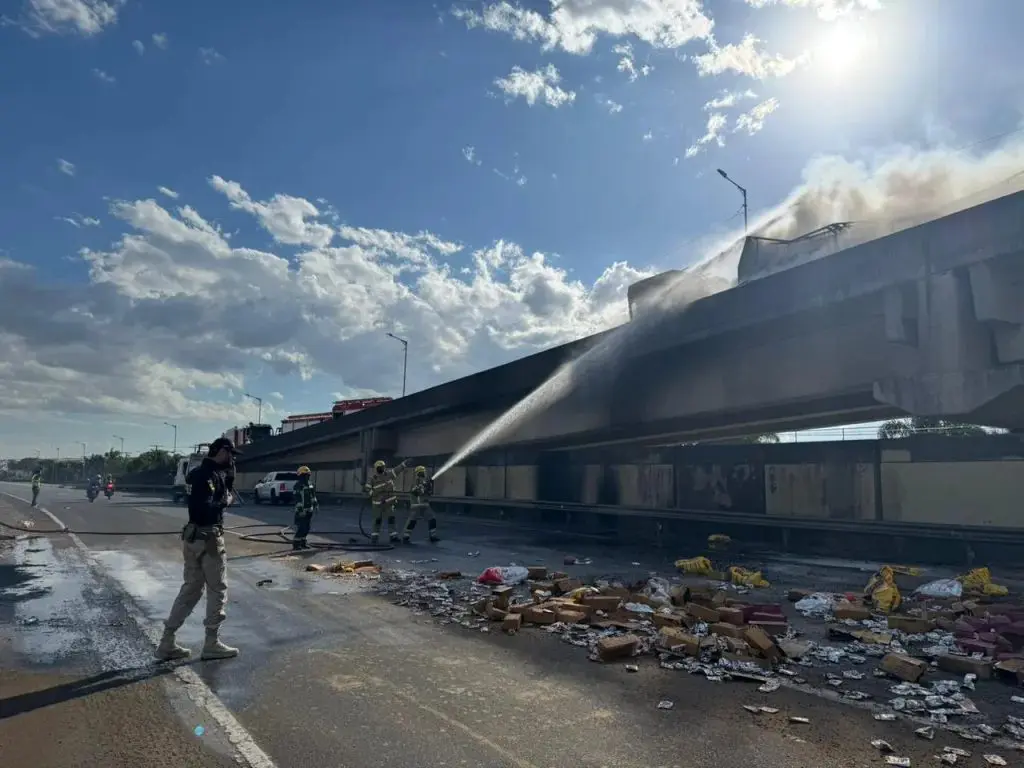 Motorista morreu no incêndio (Foto: Divulgação / PRF)