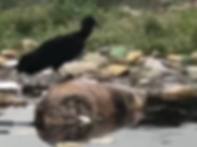 Tronco humano foi encontrado boiando em igarapé (Foto: Reprodução)