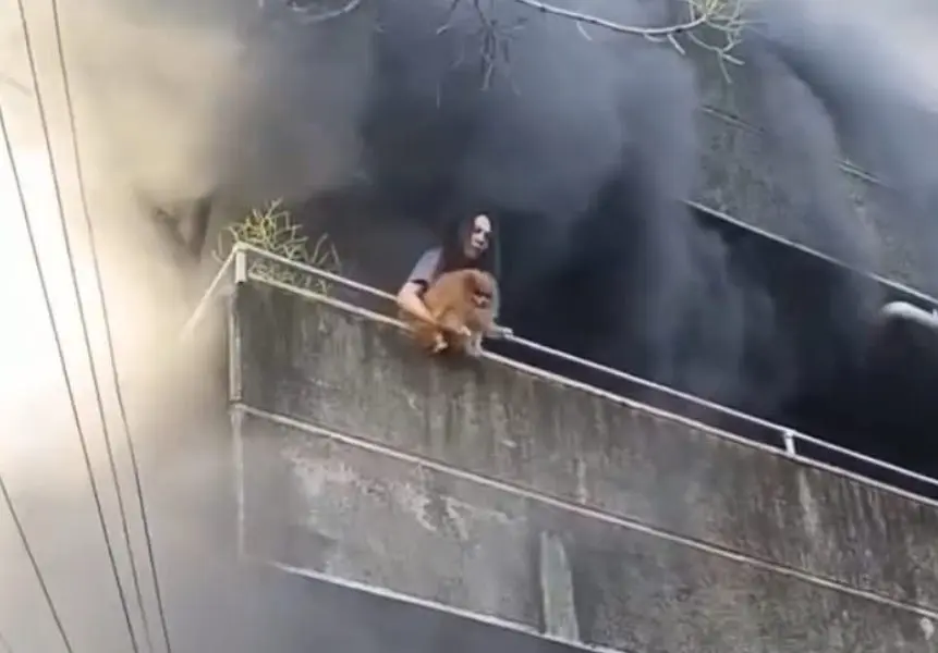 Mulher salva cachorros de incêndio (Foto: Reprodução)