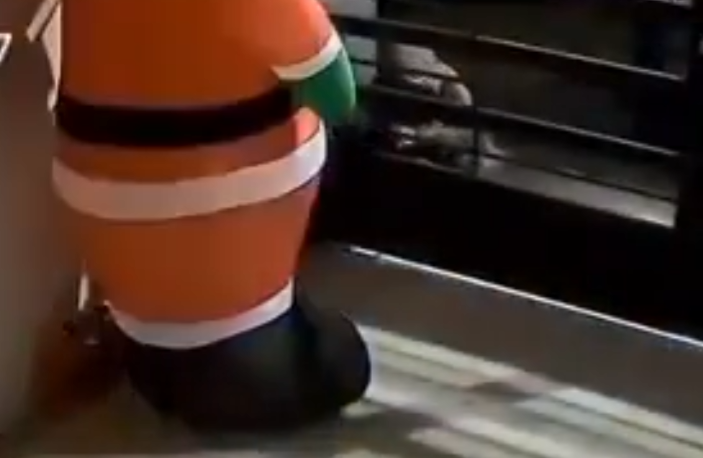 Homem rouba boneco inflável (Foto: Reprodução)