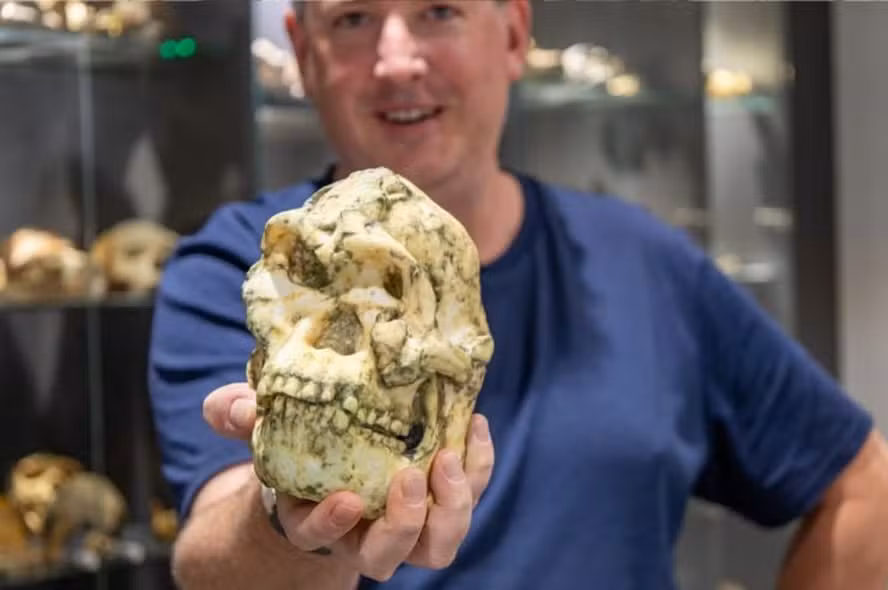 Fóssil conhecido como “Little Foot”, o esqueleto de ancestral humano mais completo. Foto: Reprodução