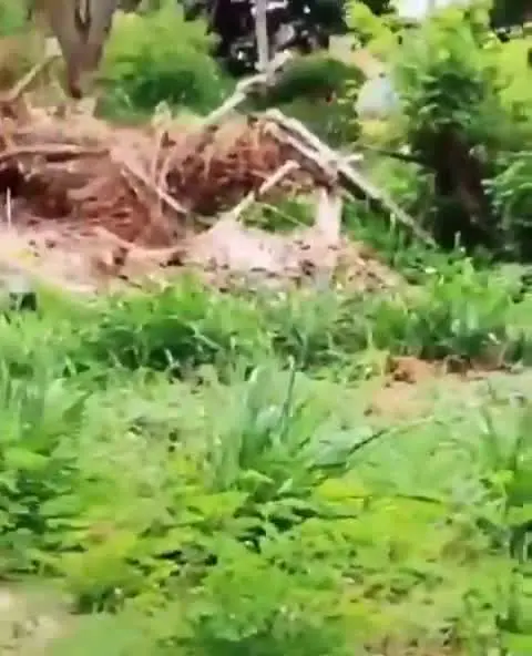 Casal de idosos é filmado em ato íntimo próximo a reservatório de água no Parque do Lago, Várzea Grande. Foto: Divulgação.