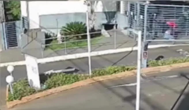Câmeras de segurança flagraram o momento em que um homem invade a portaria de um condomínio e agride a ex-companheira em Ribeirão Preto, no interior de São Paulo. Foto: Reprodução.