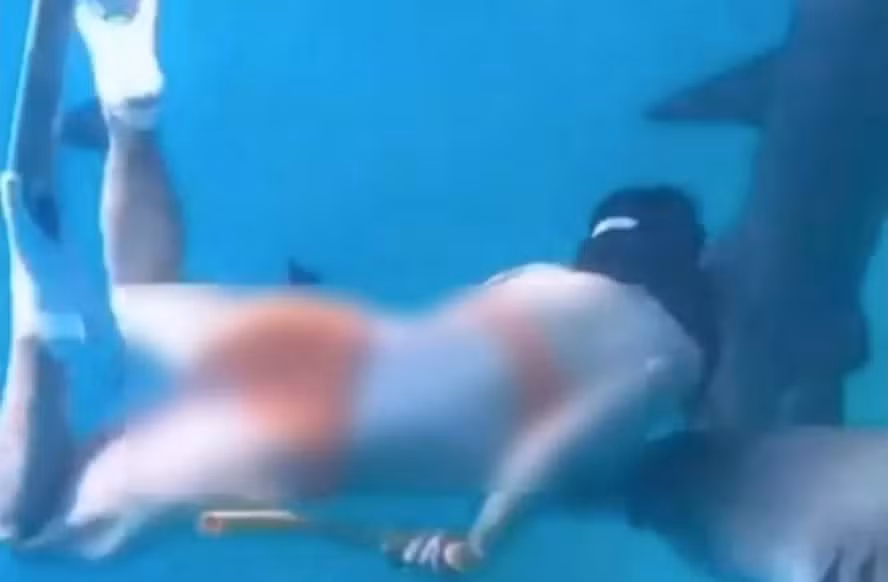 Turista chinesa sofre ataque de tubarão em Maldivas 