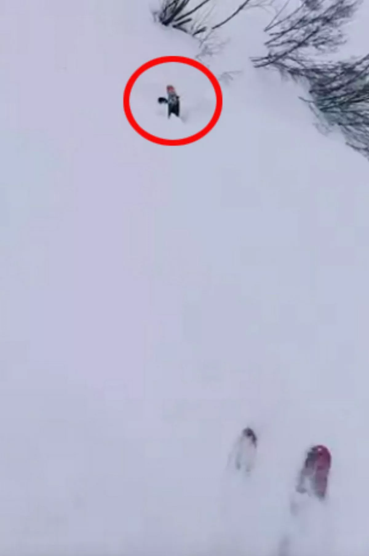 Esquiador salva homem soterrado por avalanche após braço emergir da neve; veja vídeo