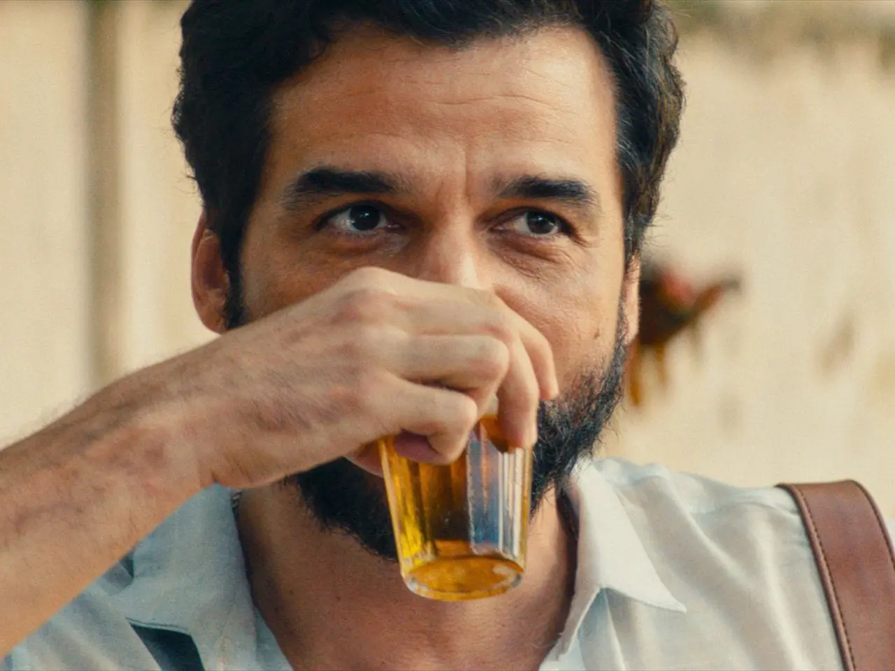 Ator brasileiro vira nome de drink em premiação do cinema