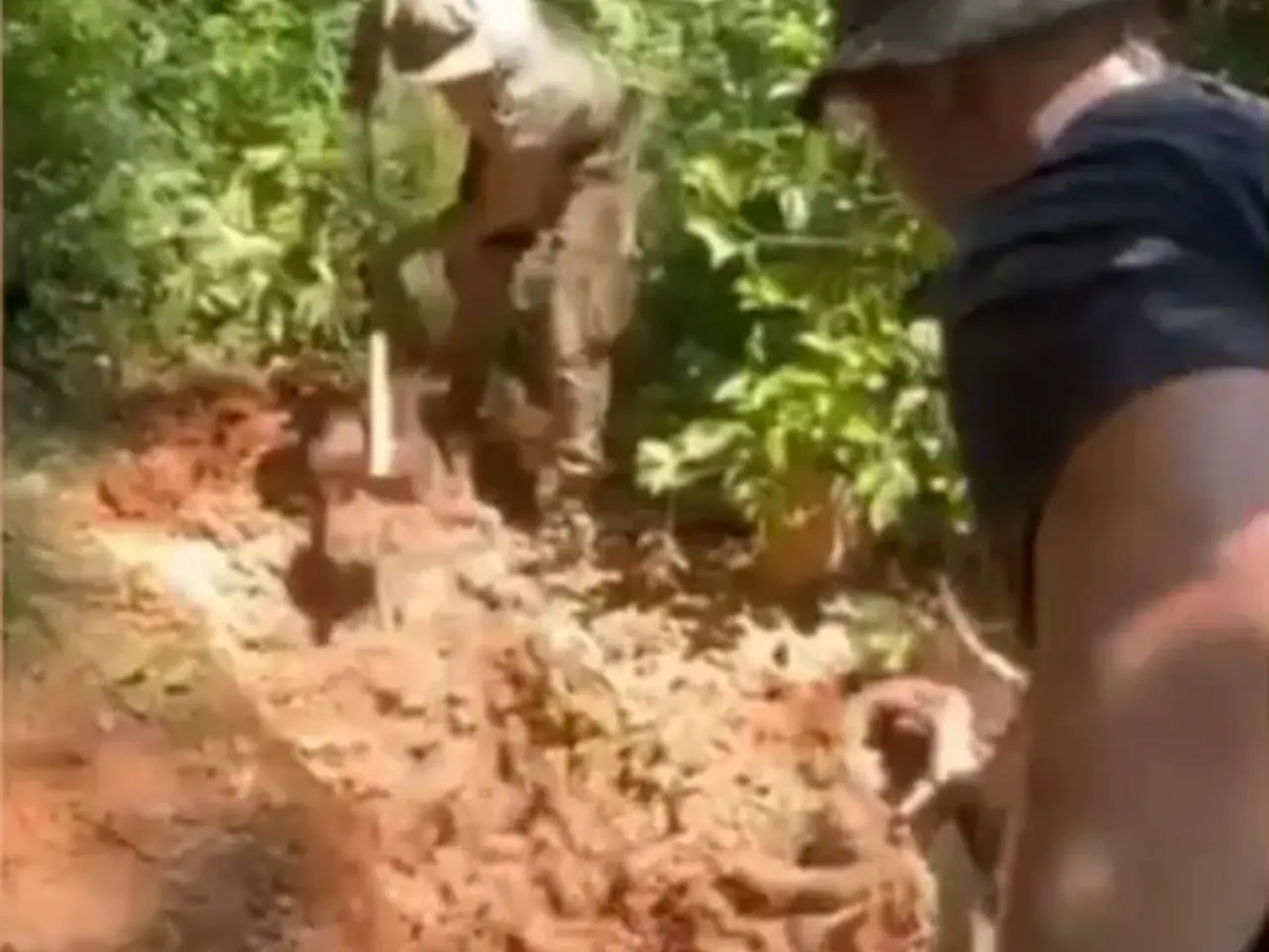Polícia Militar encontra corpos na mata e descobre cemitério clandestino em SC