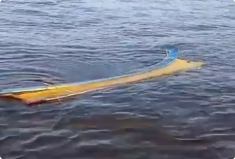 Naufrágio de pequeno barco mata duas crianças (Foto: Redes Sociais)