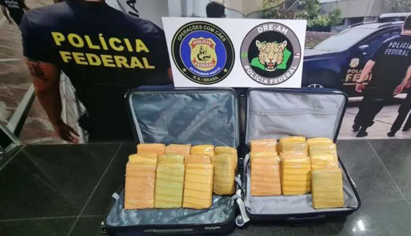 Pacotes de maconha (Reprodução)