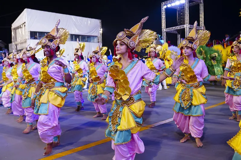 Saiba como desfilar em uma escola de samba do Carnaval de 2026 (Foto: Lucas Bassi/Câmara Municipal de São Paulo)