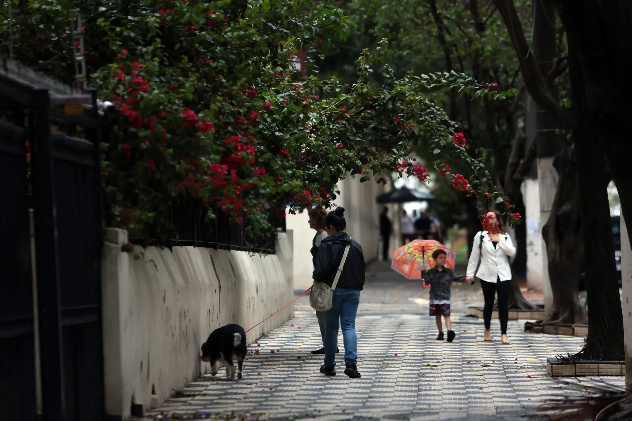 São Paulo entra em estado de atenção após temporal severo e granizo (Foto: Paulo Pinto/Agência Brasil)