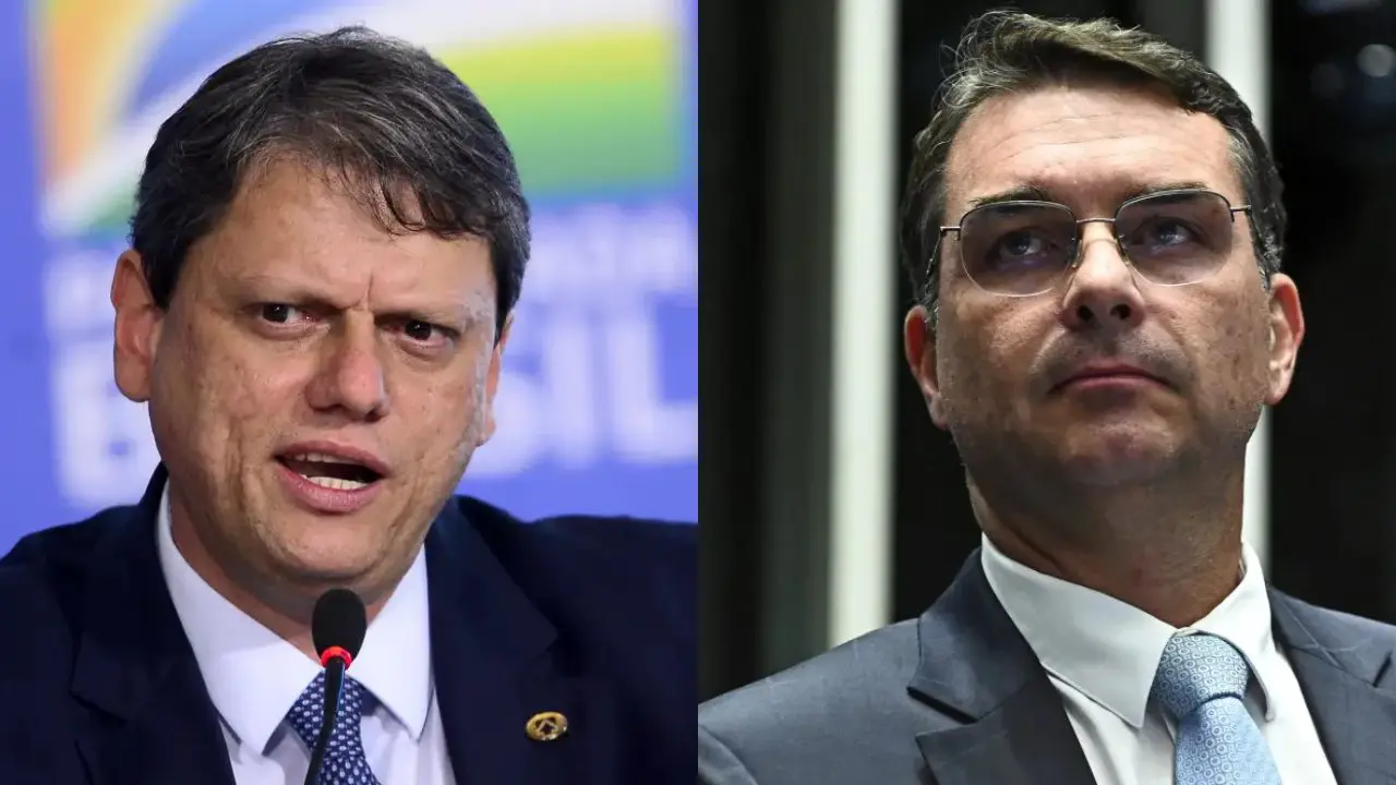 Tarcísio de Freitas e Flávio Bolsonaro (Reprodução/Marcelo Camargo/Agência Brasil/Agência Senado)
