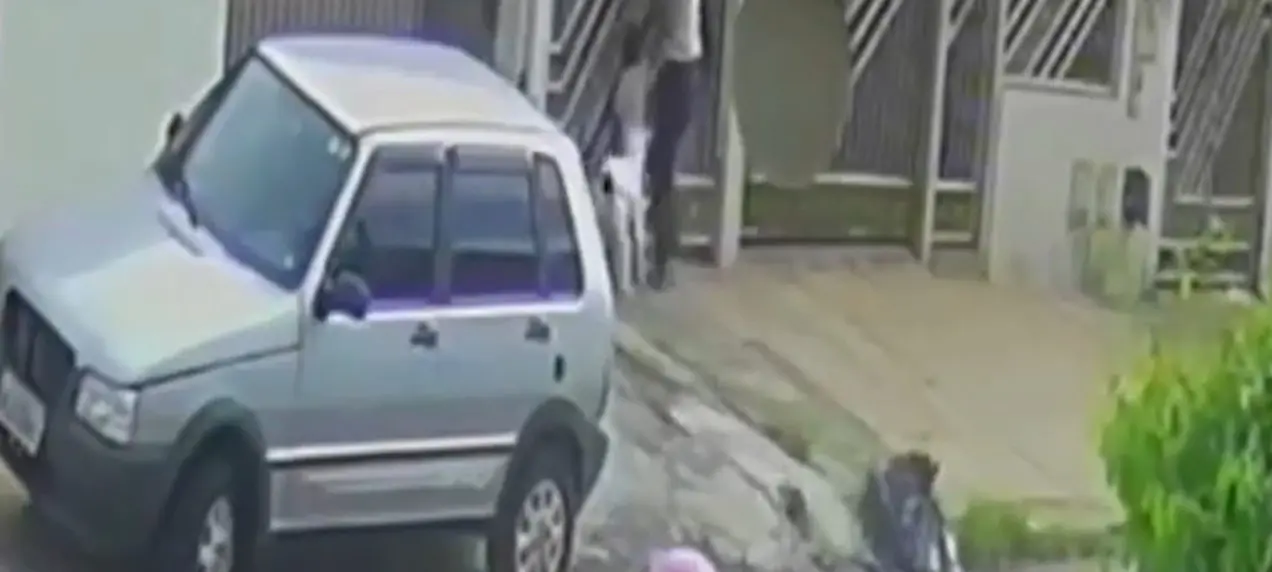 Pitbull ataca criança de dois anos após escapar de casa (Foto: Redes Sociais)