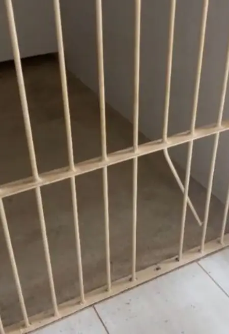 Preso entorta grade de cela e consegue fugir de dentro de Fórum (Foto: Reprodução)