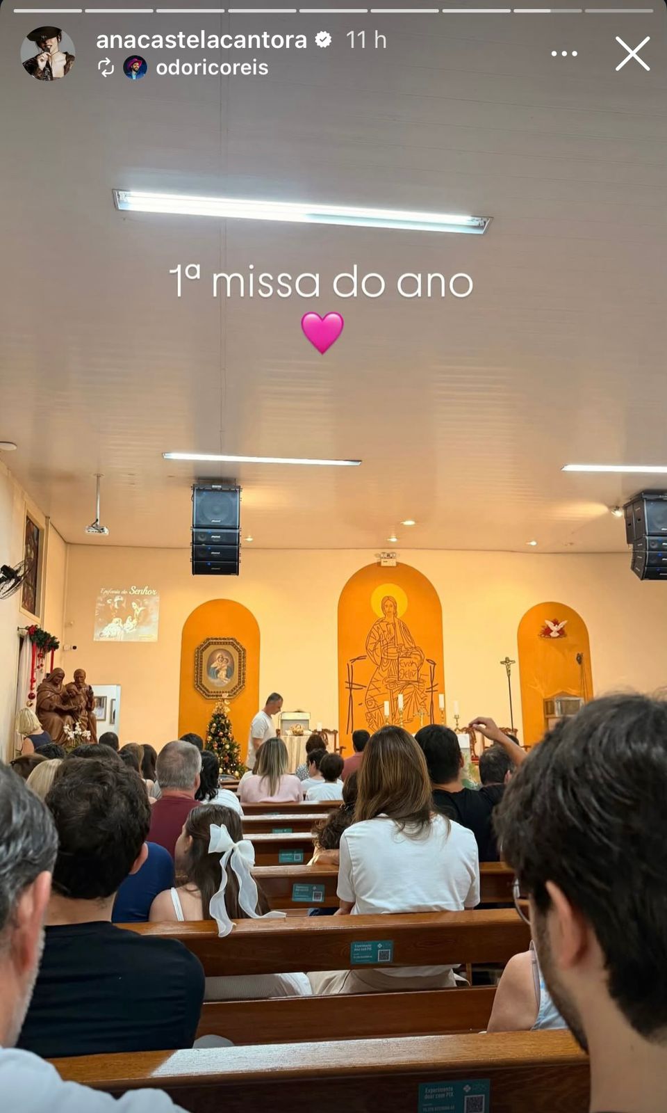 Publicação Ana Castela 