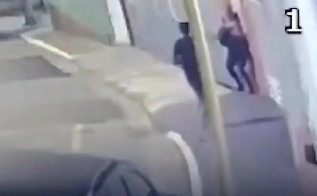 Mulher é morta com golpes de facão na Liberdade (Foto: Reprodução)
