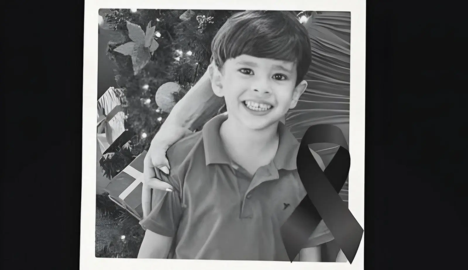 Menino de 5 anos morre após ser atropelado por caminhão conduzido pelo próprio pai  (Foto: Reprodução/Redes sociais)