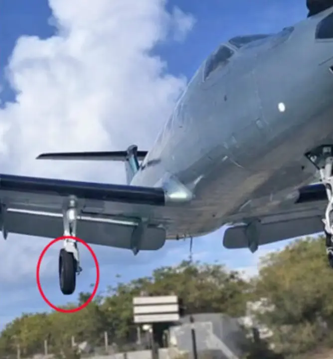 Pouso de avião (Reprodução/Redes Sociais)