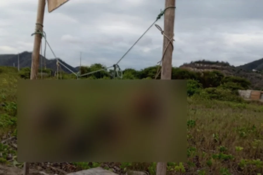Cabeças foram achadas em praia do Equador 